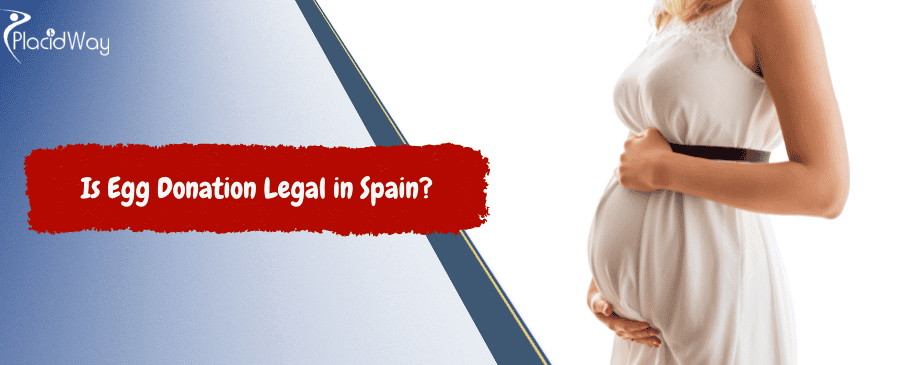 Egg Donation Legal in Spain