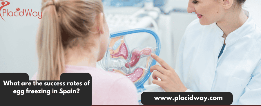 What are the success rates of egg freezing in Spain?
