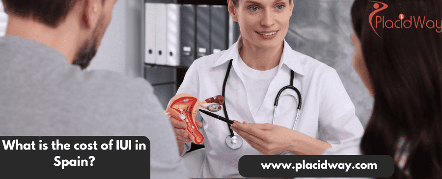 What is the cost of IUI in Spain?