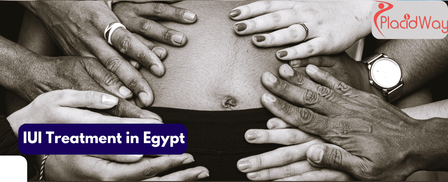  IUI treatment in Egypt