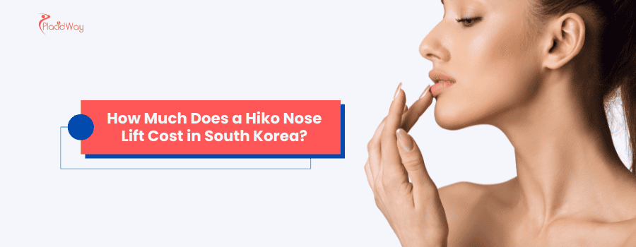How Much Does a Hiko Nose Lift Cost in South Korea?