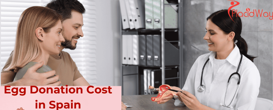 Egg Donation Cost in Spain
