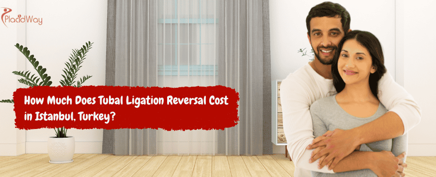 Tubal Ligation Reversal Cost in Istanbul, Turkey