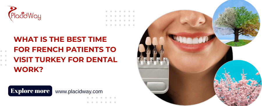 What Is the Best Time for French Patients to Visit Turkey for Dental Work?