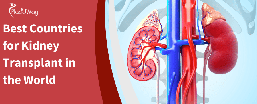 Best Countries for Kidney Transplant