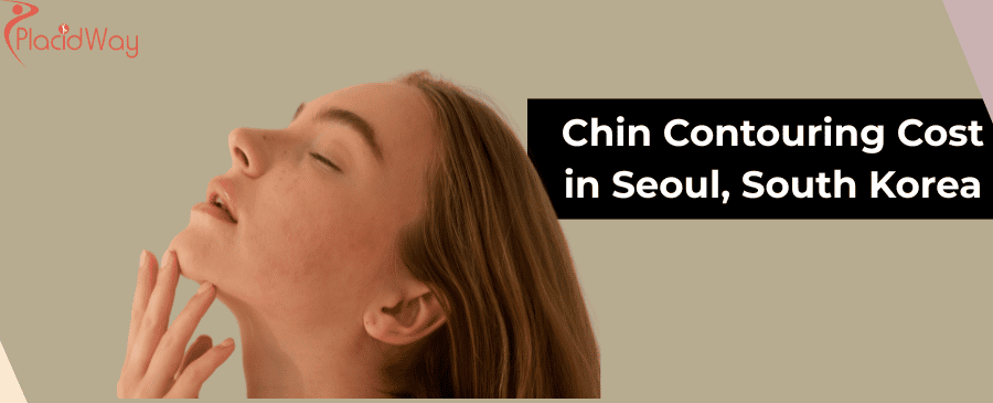 Chin Contouring Cost in Seoul, South Korea