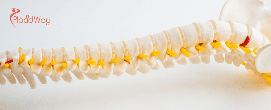 Stem Cell Therapy for Spinal Injuries in Thailand