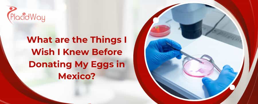 Egg Donation in Mexico