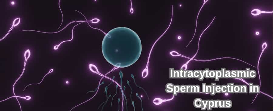 Intracytoplasmic Sperm Injection in Cyprus