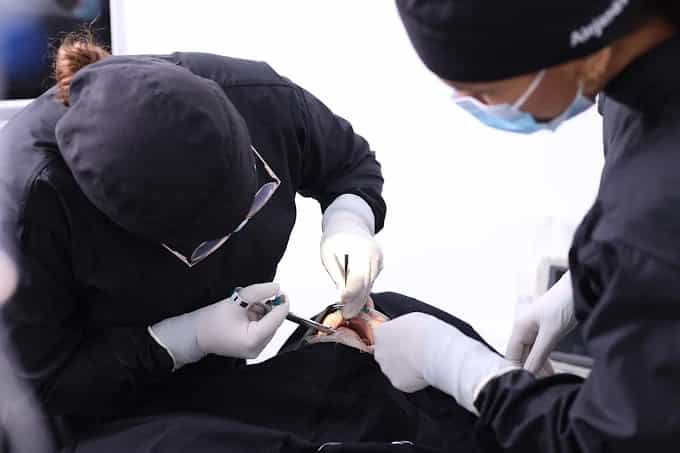 All on X Dental Studio - Dental Tourism in Los Algodones, Mexico