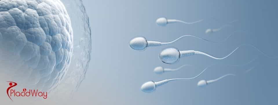 Intrazytoplasmatische Spermieninjektion (ICSI) in Spanien