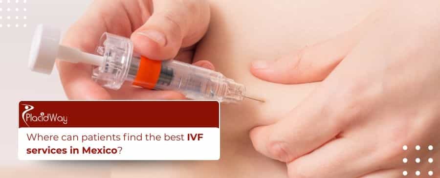 IVF services