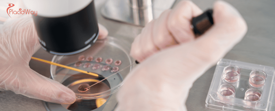 Embryonic Stem Cell Therapy in Turkey