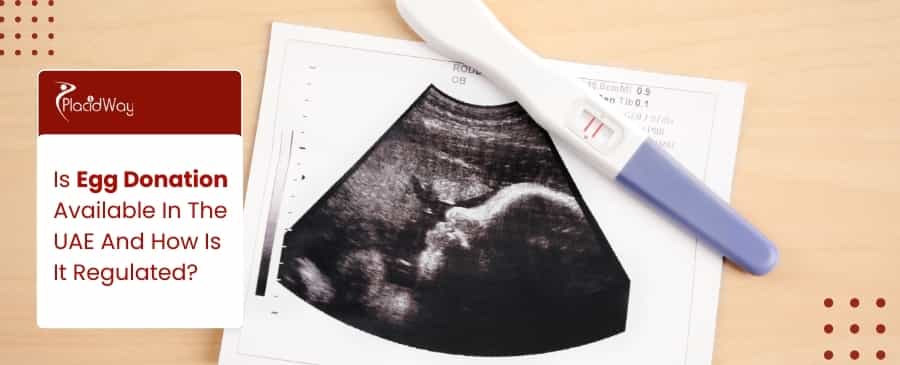 Egg Donation