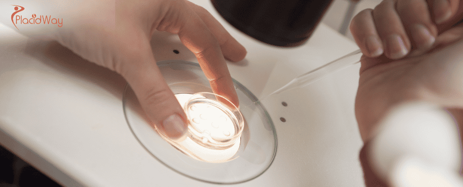 IVF with Egg Donation in Cyprus