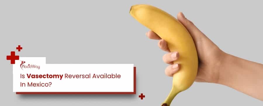 Vasectomy Reversal 