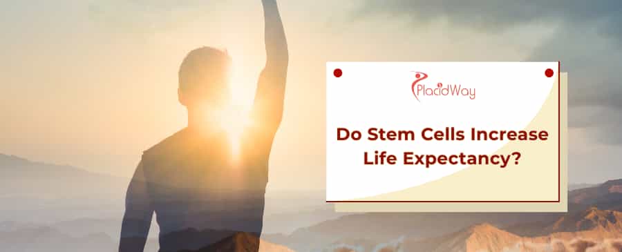 Stem Cells
