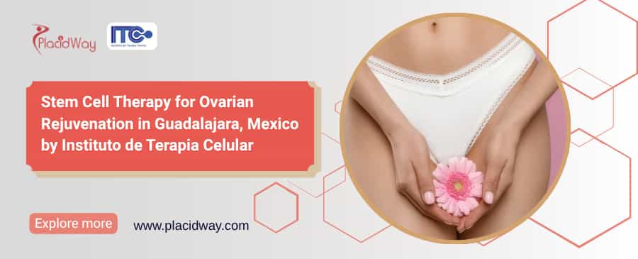 Células Madre Guadalajara México para el Rejuvenecimiento Ovárico