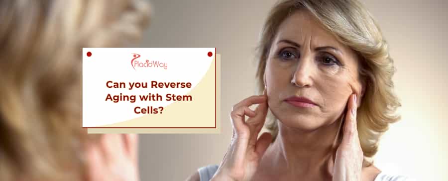Stem Cells & Aging