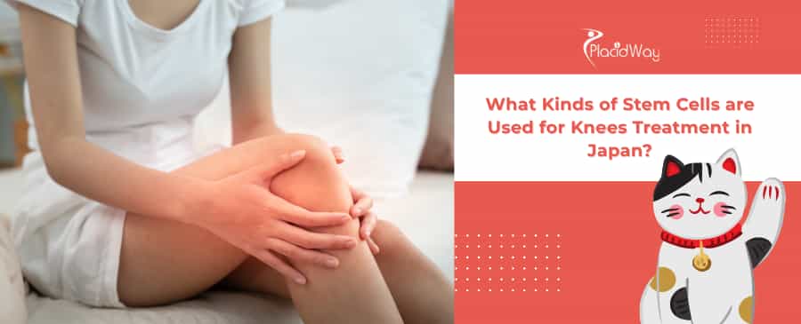 Stem Cell Therapy for Knees in Japan