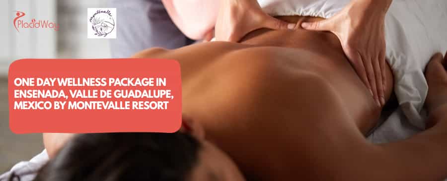 One Day Wellness Package in Ensenada, Valle de Guadalupe, Mexico 