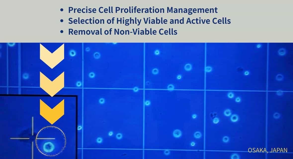 العلاج بالخلايا الجذعية في اليابان