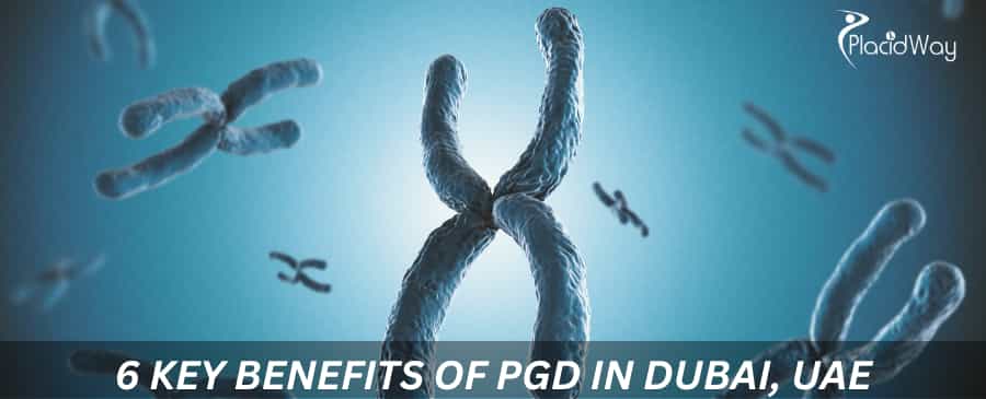 6 Key Benefits of PGD in Dubai, UAE