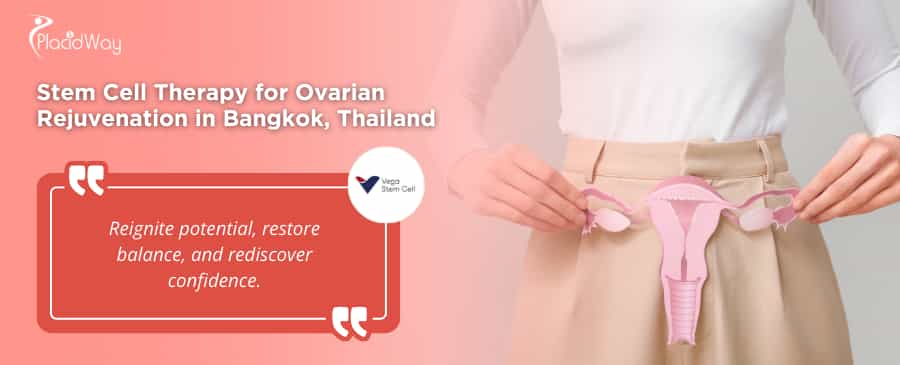 Stem Cell Therapy for Ovarian Rejuvenation at Vega Clinic Bangkok