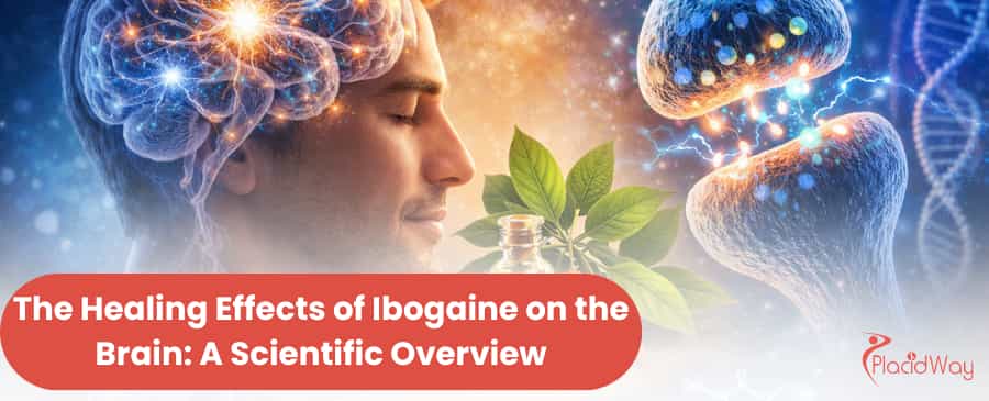 Ibogaine Treatment in Mexico