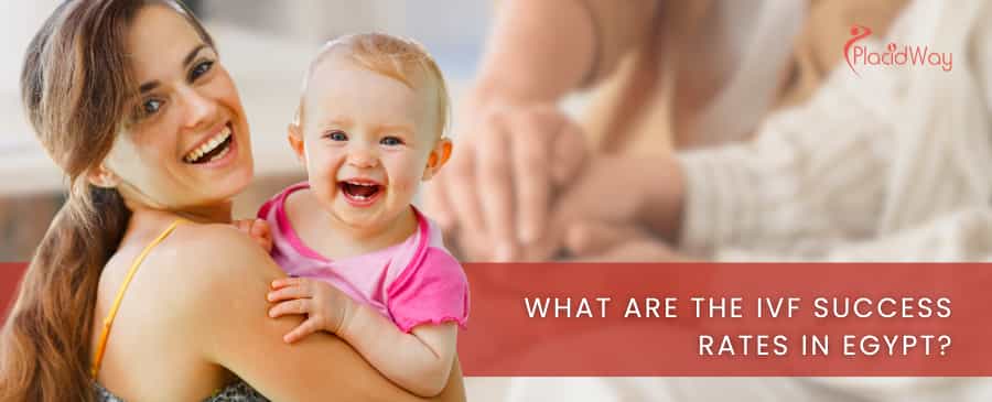 What are the IVF success rates in Egypt?