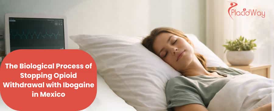 Ibogaine addiction treatment in Mexico