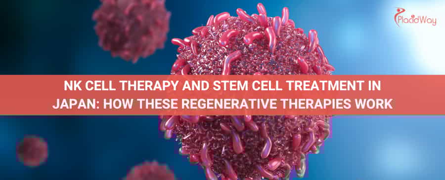 NK Cell Therapy and Stem Cell Treatment in Japan