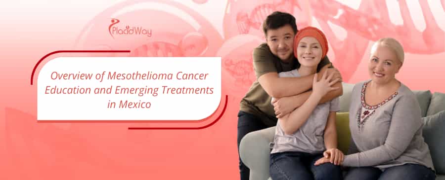 Mesothelioma Cancer Education