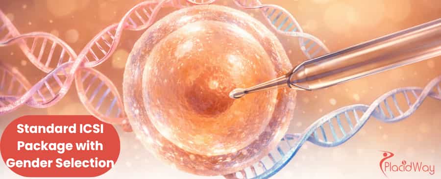 IVF with gender selection in Thailand