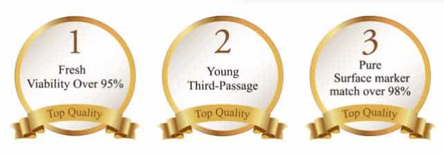 أفضل علاج بالخلايا الجذعية في اليابان