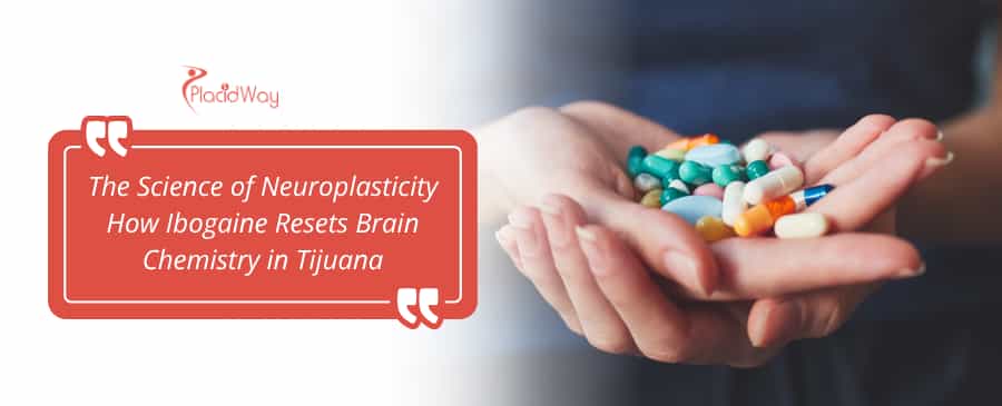 The Science of Neuroplasticity How Ibogaine Resets Brain Chemistry in Tijuana