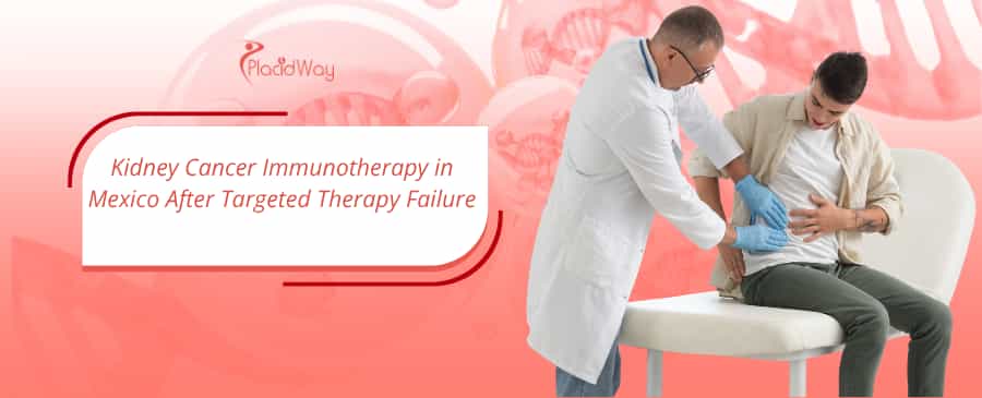 Doctor checks patient kidney