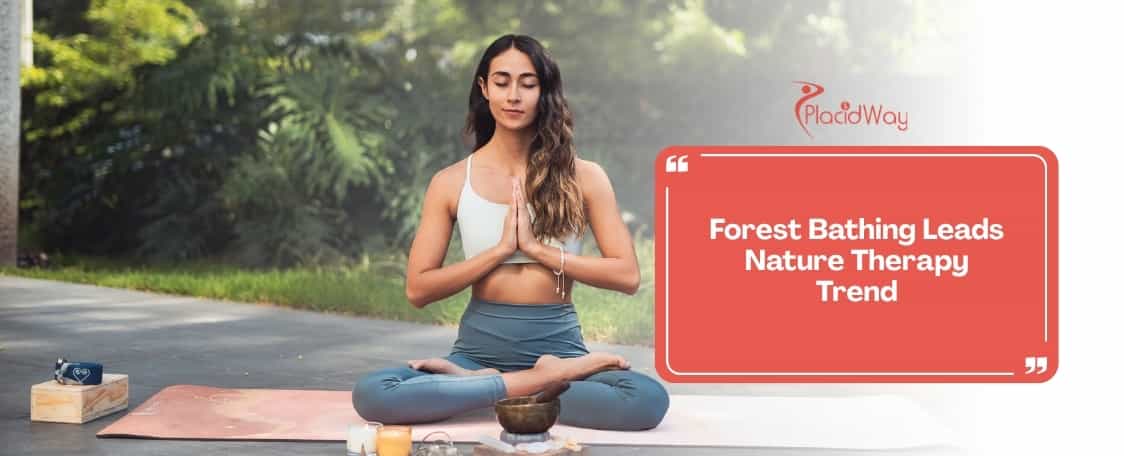 Forest bathing in Japan