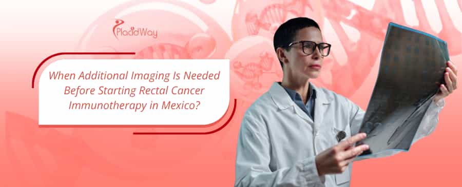 doctor checks imaging