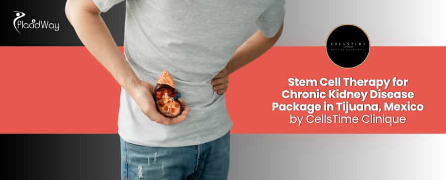 Stem Cell Therapy for Chronic Kidney Disease in Tijuana at CellsTime Clinique