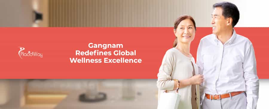 Gangnam’s WOW Vision: World-Class, One & Only Wellness Medical Hub