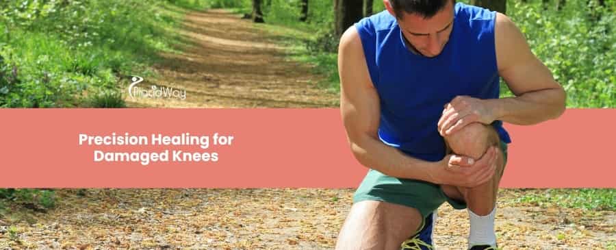 https://www.placidway.com/article/8413/Bypassing-the-Fusion-Younger-Patients-Turn-to-Ahmedabad-for-Advanced-Motion-Preserving-Disc-Replacements