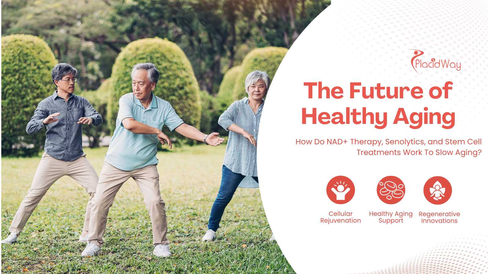 old people doing yoga