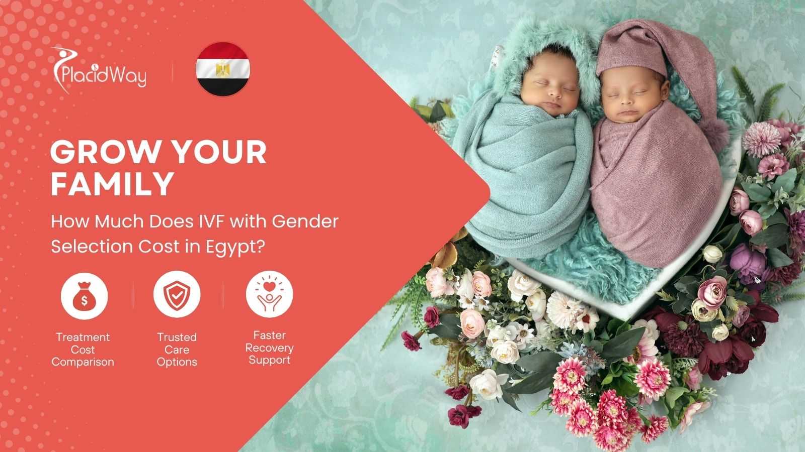 How Much Does IVF with Gender Selection Cost in Egypt?