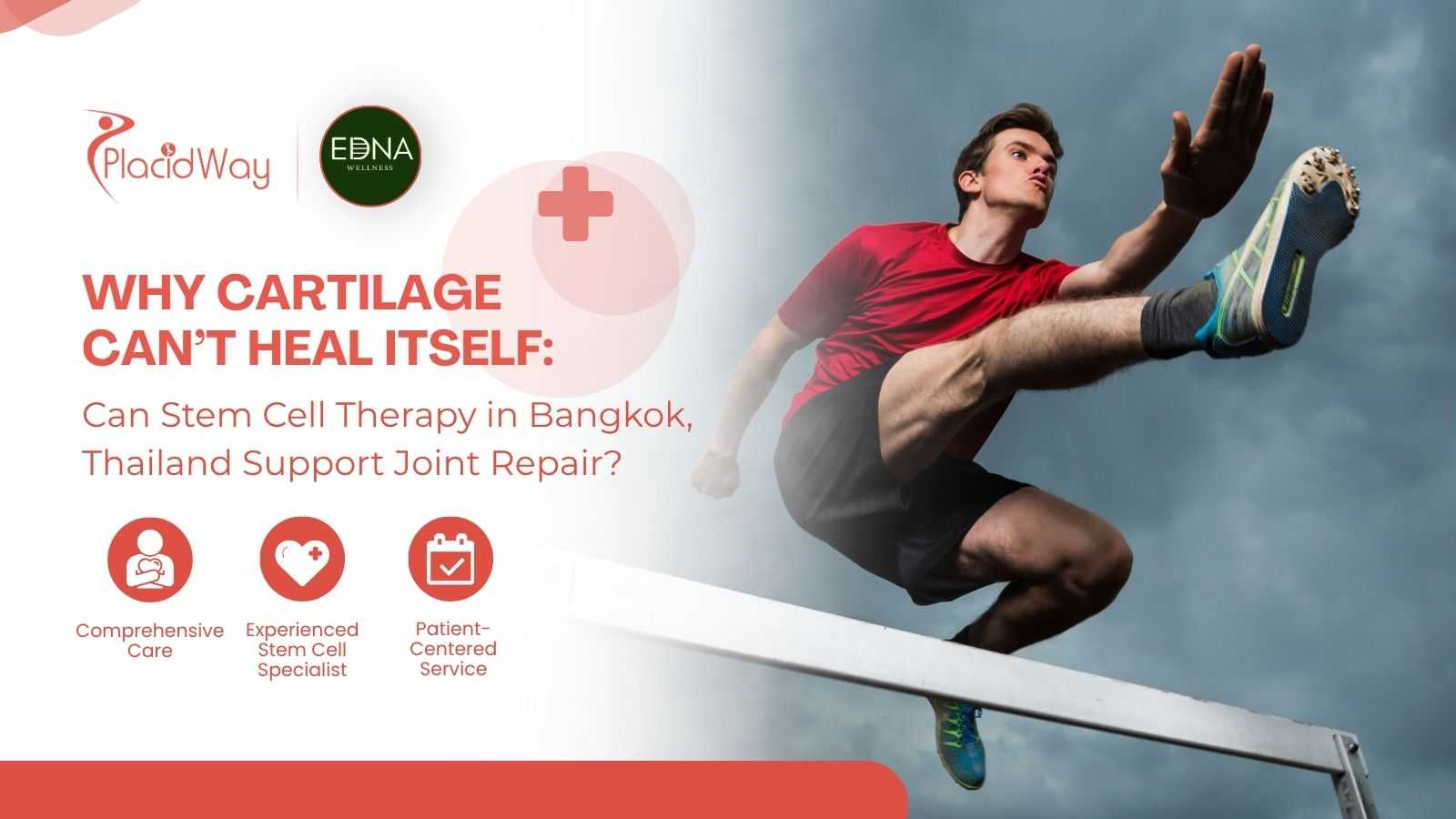 Stem Cell Therapy in Bangkok for Cartilage Repair