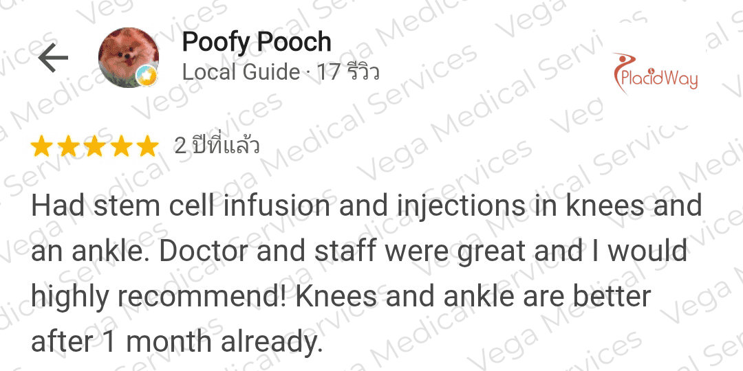 Stem Cells for Knee Osteoarthritis in Bangkok Vega Conclusion