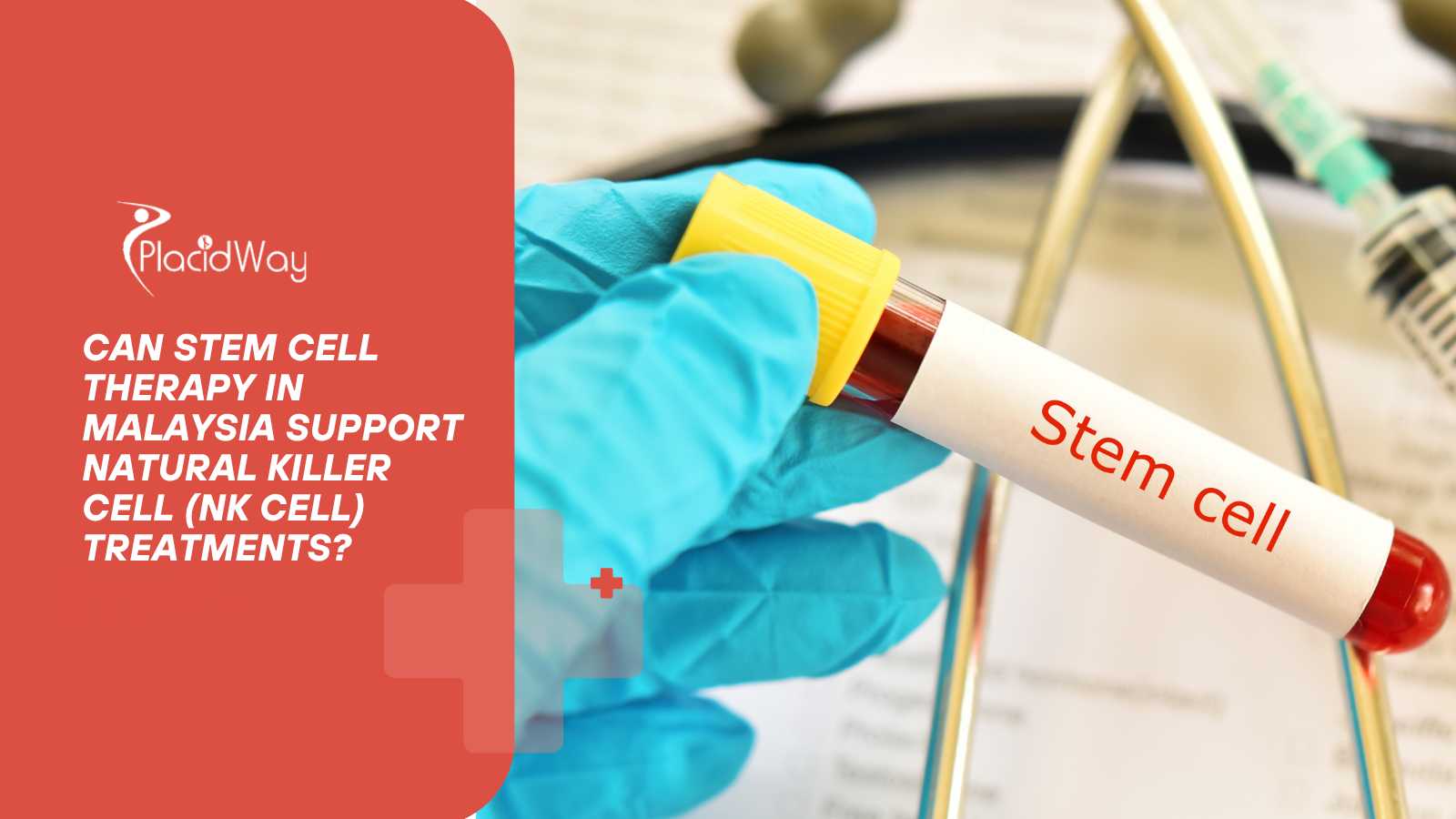 Can Stem Cell Therapy in Malaysia Support Natural Killer Cell (NK Cell) Treatments?
