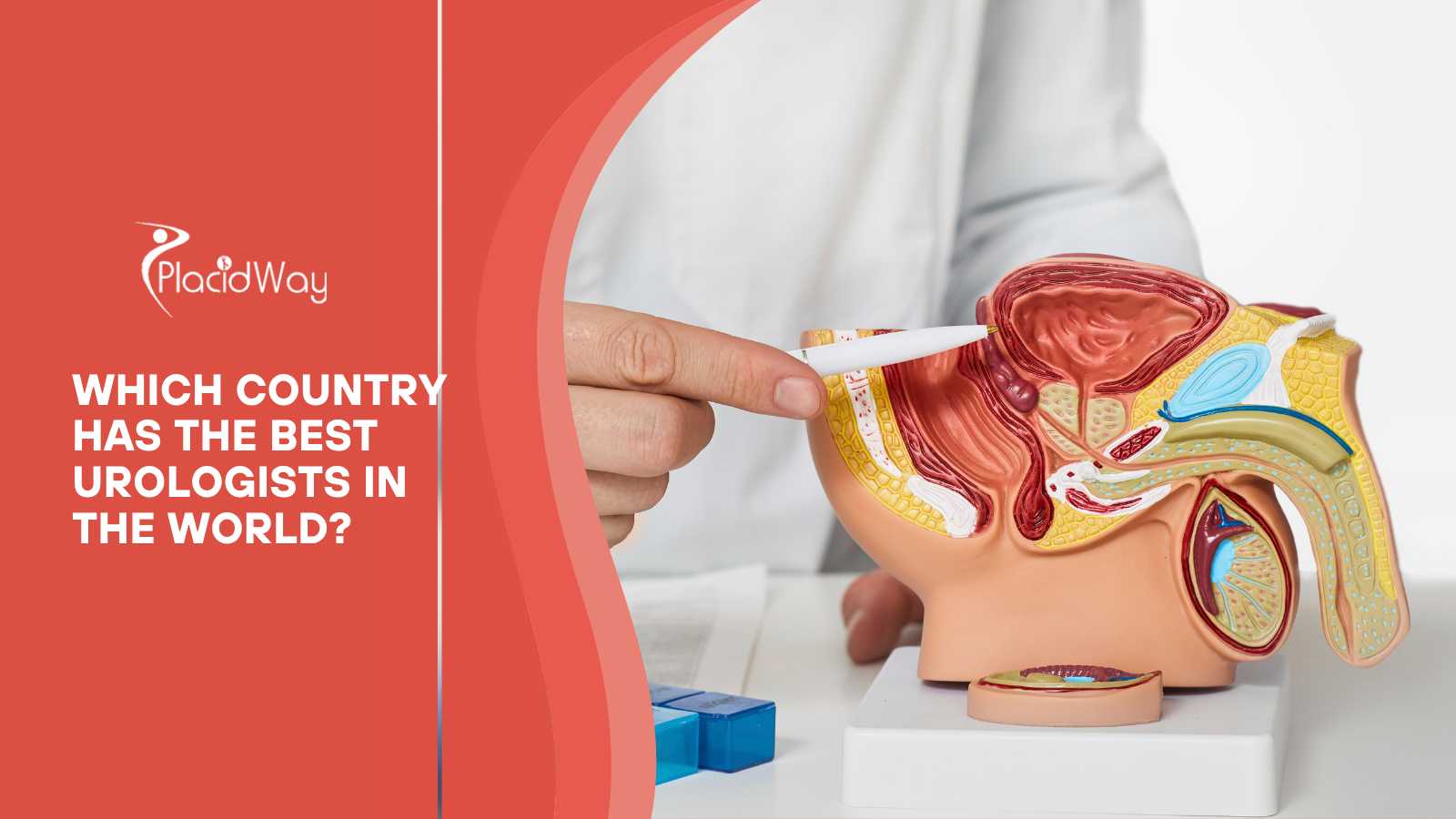 Which Country Has the Best Urologists In The World?