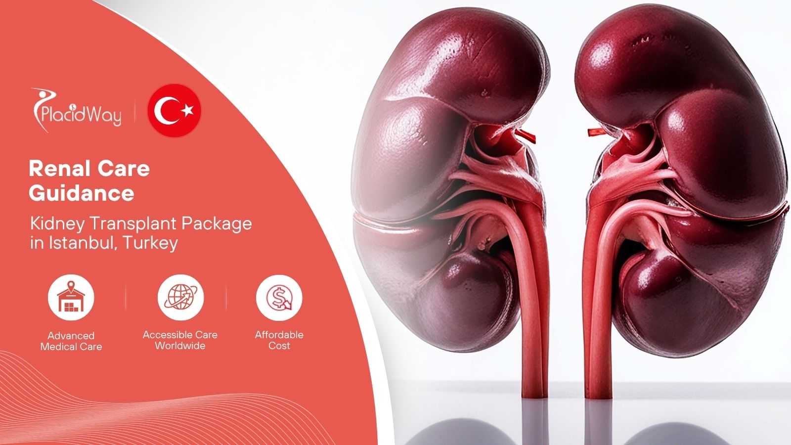 Kidney Transplant in Istanbul Turkey