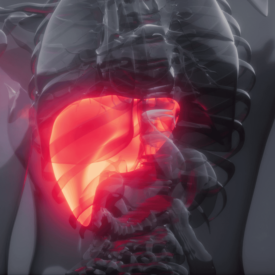 3 Best Countries for Liver Transplant in 2026